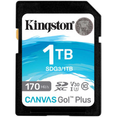 Kingston SDG3/1TB 1024 Гб