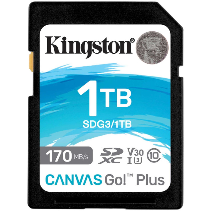 Kingston SDG3/1TB 1024 Гб