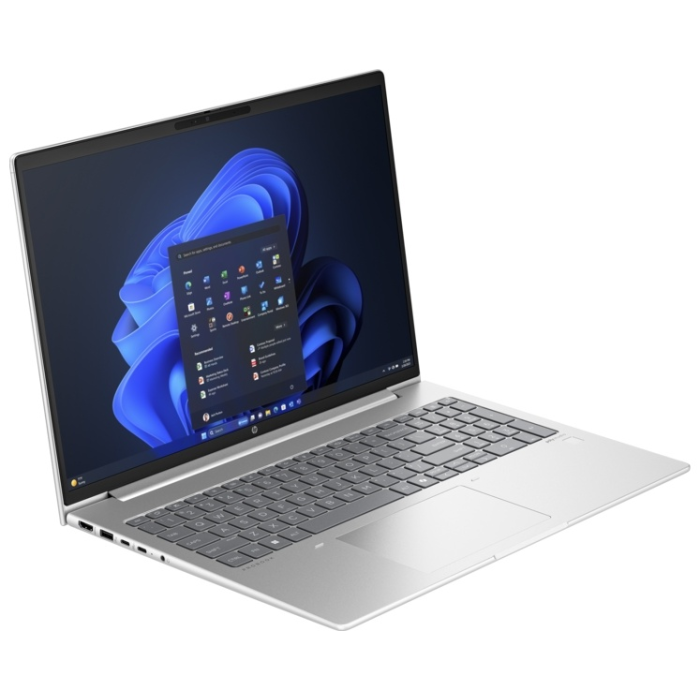 HP Probook 460 G11 9C0C6EA серебристый