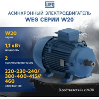 Асинхронный электродвигатель WEG 16803815 AM W20 -80 1.1 кВт 2P B3T 220-460 В 50 Гц