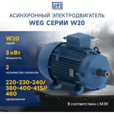 Асинхронный электродвигатель WEG 12310457 W20 100L 3 кВт 2P B3T 220-460 В 50 Гц