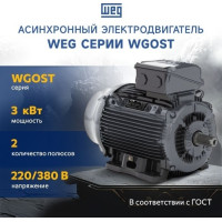 Асинхронный электродвигатель WEG 17376514 WGOST-90L 3 кВт 2P B3T 220/380 В 50 Гц