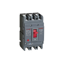 Автоматический выключатель Himel HDM3SV-125B 3P 100A 25kA с регулировкой