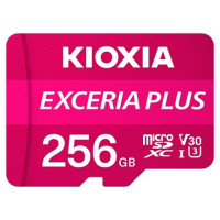 KIOXIA LMPL1M256GG2	 256 Гб