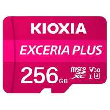 KIOXIA LMPL1M256GG2	 256 Гб