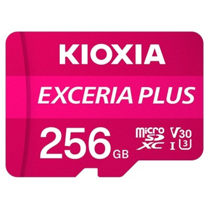 KIOXIA LMPL1M256GG2	 256 Гб