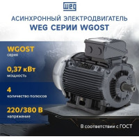 Асинхронный электродвигатель WEG 17928296 WGOST-71 0.37 кВт 4P B3T 220/380 В 50 Гц