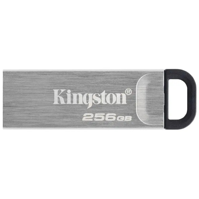 USB Flash карта Kingston DTKN/256GB 256 Гб