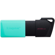 Kingston DTXM/256GB 256 Гб