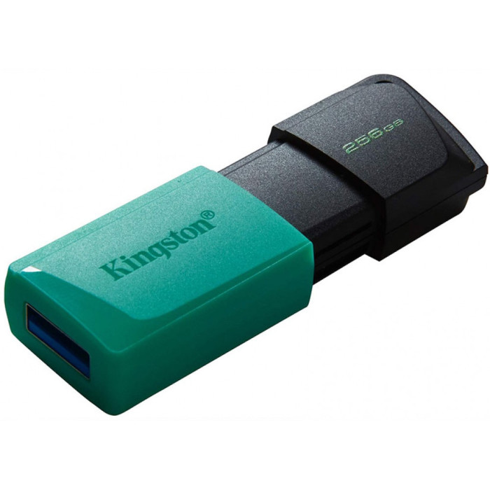 Kingston DTXM/256GB 256 Гб