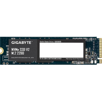SSD GIGABYTE G3NVMEV2256G 256 Гб