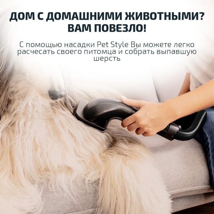 Cecotec A01 EU01 102268 бронзовый