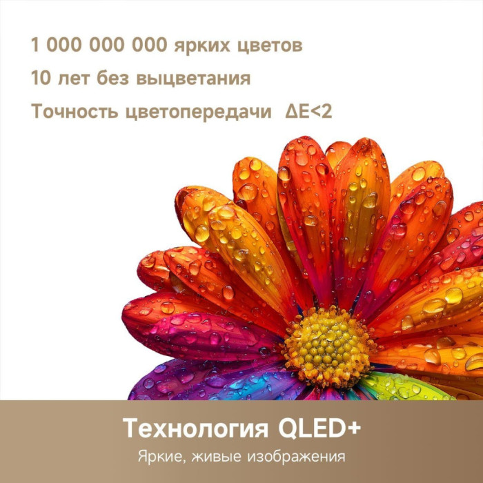 DREAME Smart 32Q10 81 см черный