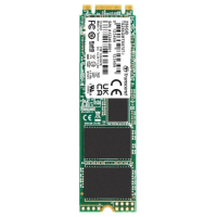 SSD Transcend TS256GMTS970TI-VS1 256 Гб