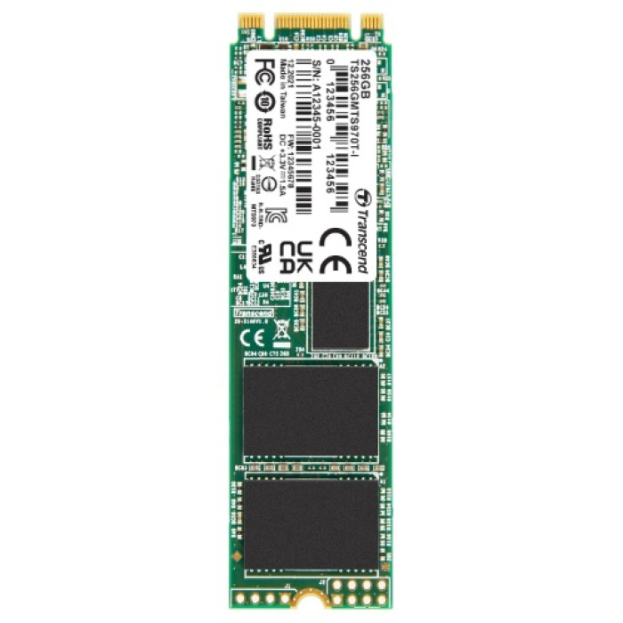 SSD Transcend TS256GMTS970TI-VS1 256 Гб