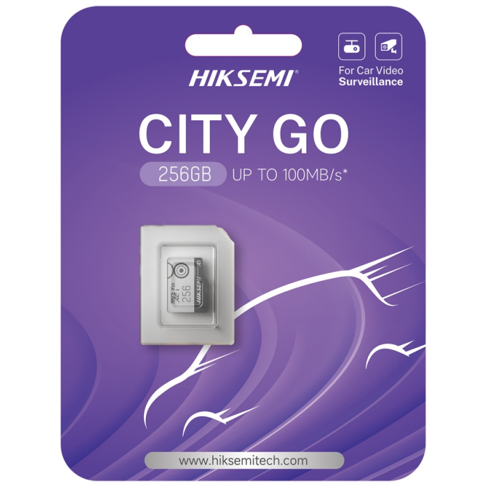 Hiksemi HS-TF-M1/256G 256 Гб