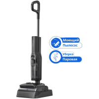 Roborock F25 Ultra черный