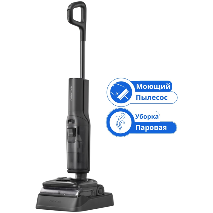 Roborock F25 Ultra черный