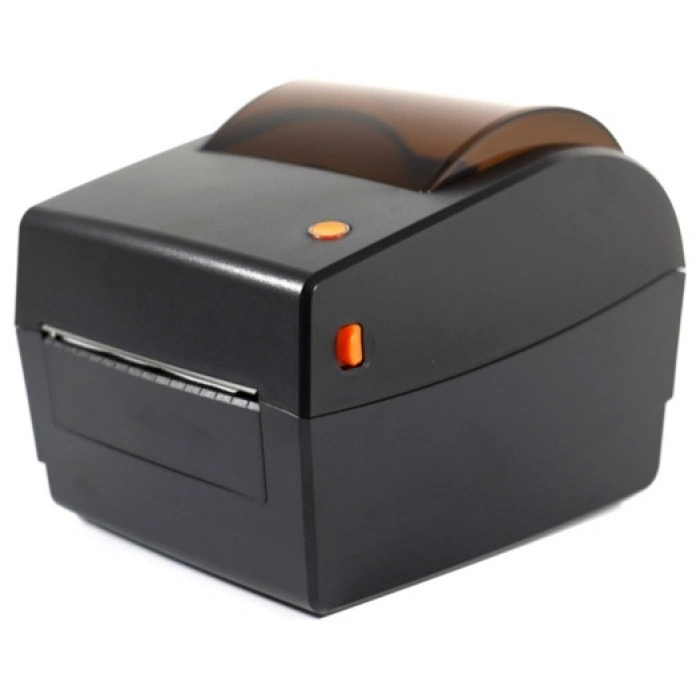 Пионер RP310