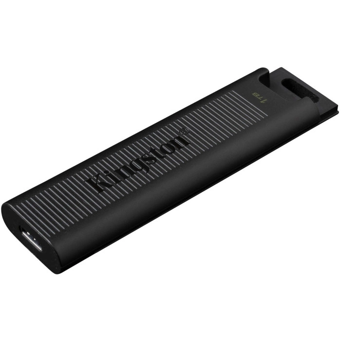 Kingston DataTraveler Max DTMAX/1TB 1TB черный